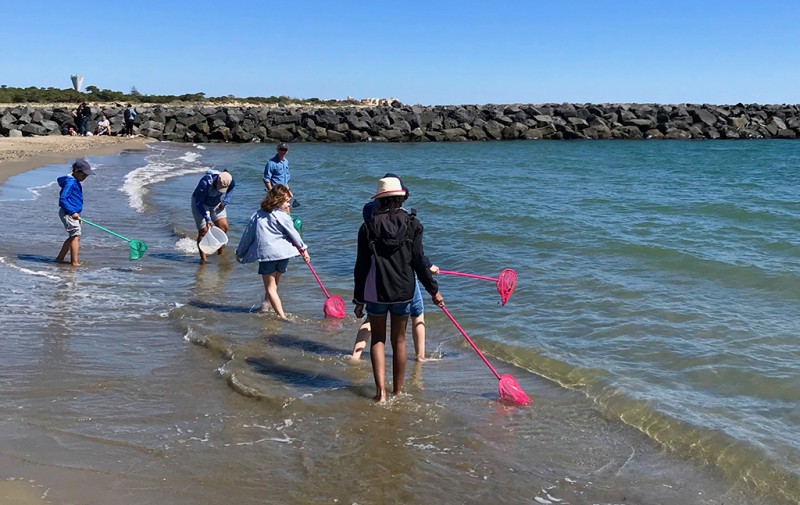 Plage au trésor